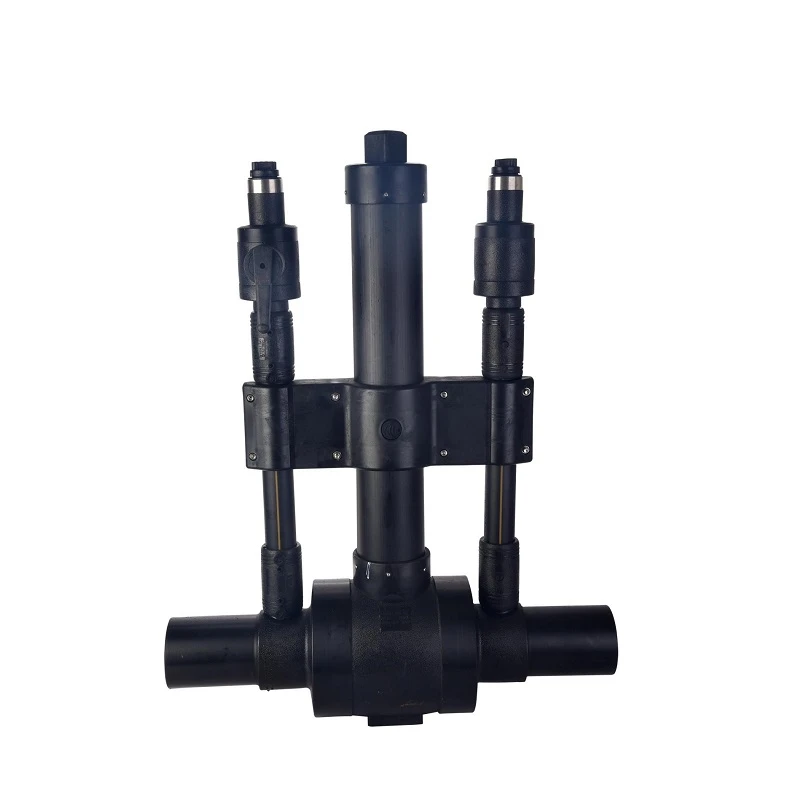 Double Purge Ball Valve