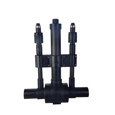 Double Purge Ball Valve